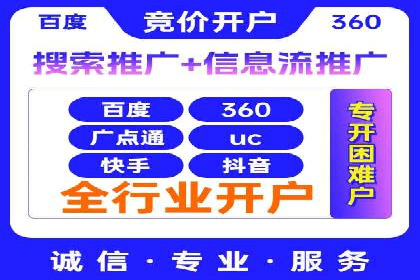 谷歌SEM案例研究：数据分析与效果评估