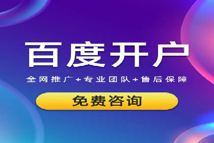 行业领先企业的SEM运营策略案例解析